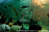 Songkhla Zoo, Thailand-2 Hks Designer and Consultant Intl. 21 Woodland Close, #02-34 Primz Bizhub Singapore 737854 
