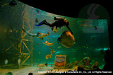 Songkhla Zoo, Thailand-3 Hks Designer and Consultant Intl. 21 Woodland Close, #02-34 Primz Bizhub Singapore 737854 