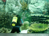 Songkhla Zoo, Thailand-5 Hks Designer and Consultant Intl. 21 Woodland Close, #02-34 Primz Bizhub Singapore 737854 
