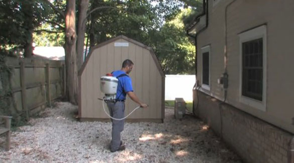  New Album of Eliminate 'Em Pest Control Services, LLC 38 Beach Ave - Photo 2 of 7