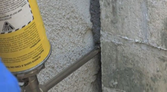  New Album of Eliminate 'Em Pest Control Services, LLC 38 Beach Ave - Photo 6 of 7