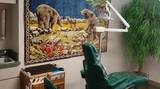  Malsch Orthodontics 625 Hoosick Rd. 