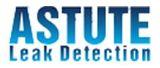 Astute Leak Detection, Gold Coast