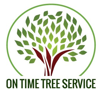  Profile Photos of On Time Tree Service 13858 Autumn Path #1 - Photo 1 of 4