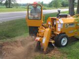 On Time Tree Service, Rosemount