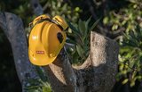 On Time Tree Service, Rosemount