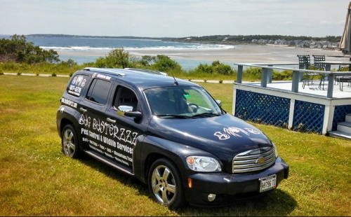  Profile Photos of Bug Busterzzz Pest Control 363 Pleasant View Ridge Road - Photo 2 of 4