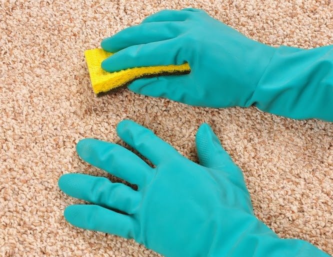  Profile Photos of Harold Hill Carpet Cleaner 7 Chaucer Rd - Photo 6 of 7