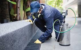  Profile Photos of Pest Control Doncaster East 123 - Photo 1 of 1