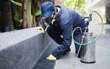 Pest Control Doncaster East, Doncaster East