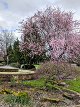 Moles Farewell Tributes & Crematory - Greenacres Memorial Park, Ferndale