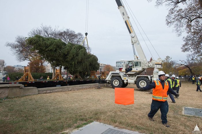  Profile Photos of On Time Tree Service 13858 Autumn Path - Photo 3 of 4