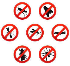 Pest Control Waltham Cross, 97 Central Av, Waltham Cross, EN8 7JJ, 02036160406, http://www.pestcontrolwalthamcross.com Profile Photos of Pest Control Waltham Cross 97 Central Av - Photo 4 of 5 Pest Control Waltham Cross, 97 Central Av, Waltham Cross, EN8 7JJ, 02036160406, http://www.pestcontrolwalthamcross.com Profile Photos of Pest Control Waltham Cross 97 Central Av - Photo 4 of 5