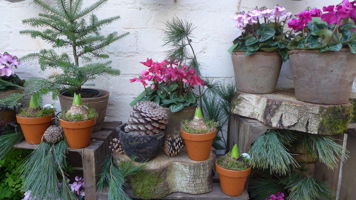  N1 Garden Centre Images of N1 Garden Centre 25a Englefield Road - Photo 17 of 19