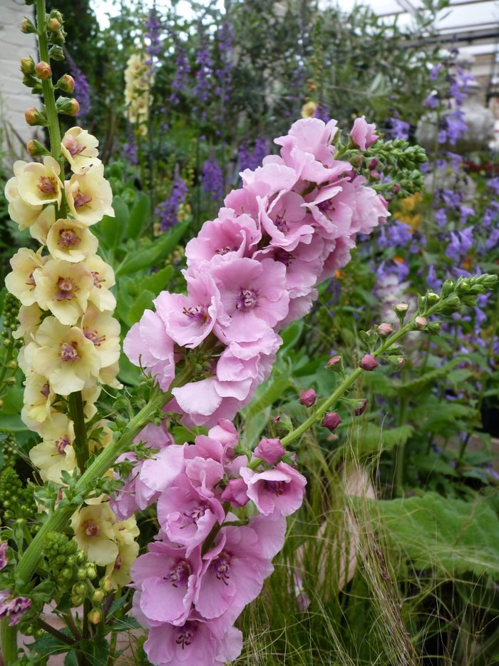  N1 Garden Centre Images of N1 Garden Centre 25a Englefield Road - Photo 16 of 19