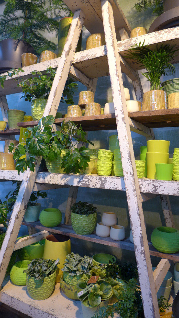  N1 Garden Centre Images of N1 Garden Centre 25a Englefield Road - Photo 14 of 19
