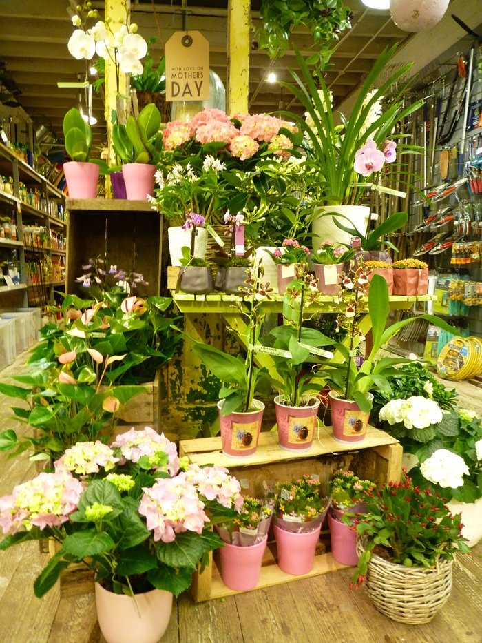  N1 Garden Centre Images of N1 Garden Centre 25a Englefield Road - Photo 12 of 19