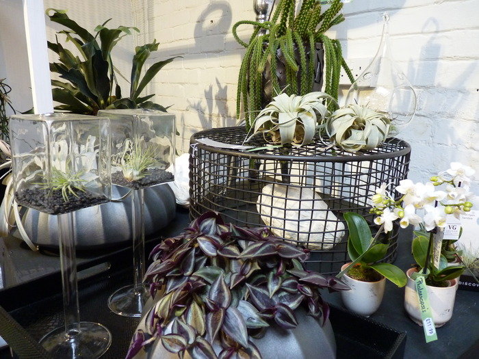  N1 Garden Centre Images of N1 Garden Centre 25a Englefield Road - Photo 1 of 19