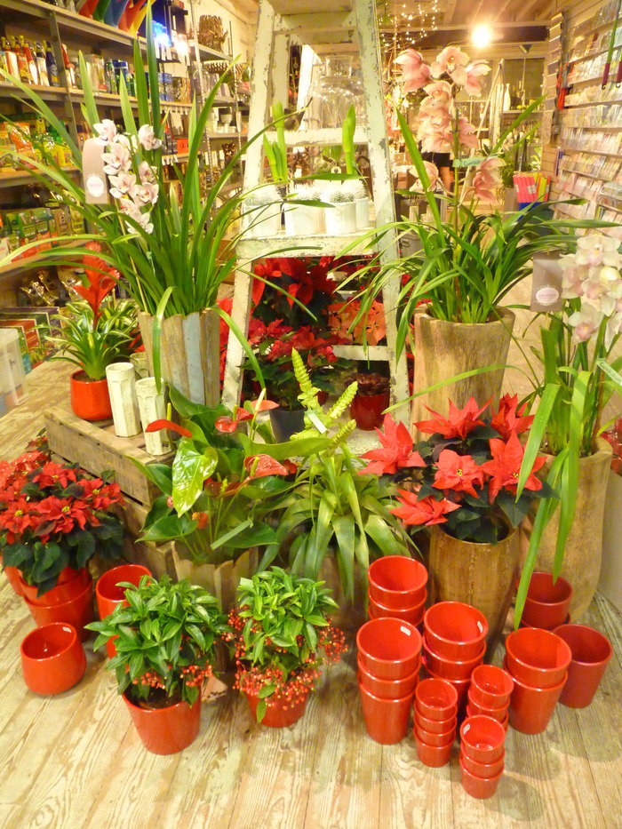  N1 Garden Centre Images of N1 Garden Centre 25a Englefield Road - Photo 9 of 19