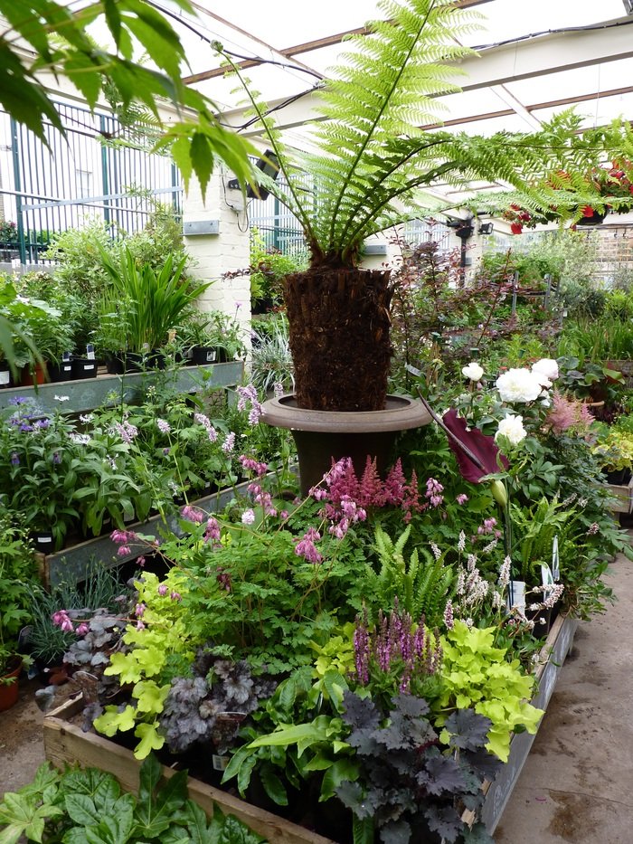  N1 Garden Centre Images of N1 Garden Centre 25a Englefield Road - Photo 6 of 19