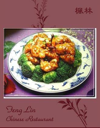  Profile Photos of Feng Lin Chinese Restaurant - FL 1561 S. Congress Ave. - Photo 1 of 16