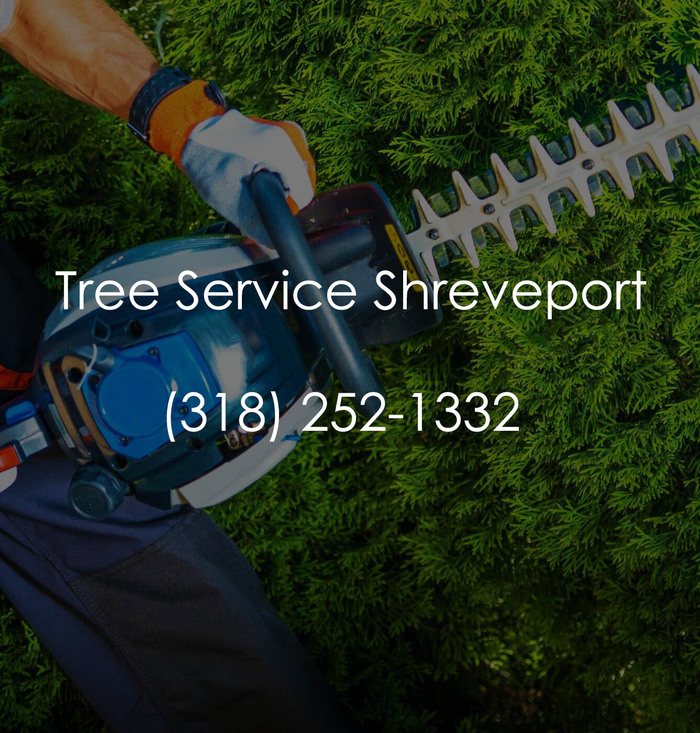  Profile Photos of Tree Service Shreveport 333 Texas Street, Suite 1300 - Photo 1 of 1