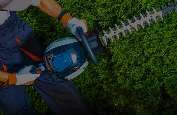  New Album of Tree Service Shreveport 333 Texas Street, Suite 1300 - Photo 1 of 9