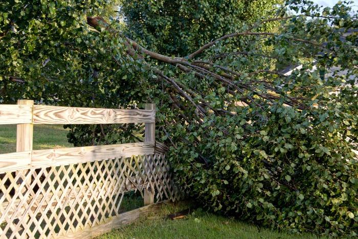  New Album of Tree Service Shreveport 333 Texas Street, Suite 1300 - Photo 3 of 9