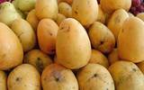  Powle Home foods 3, Bhave House, Kale Marg, Bail Bazaar, Kurla West 