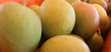  Powle Home foods 3, Bhave House, Kale Marg, Bail Bazaar, Kurla West 