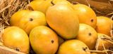  Powle Home foods 3, Bhave House, Kale Marg, Bail Bazaar, Kurla West 