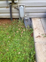 American Pest Solutions, Agawam