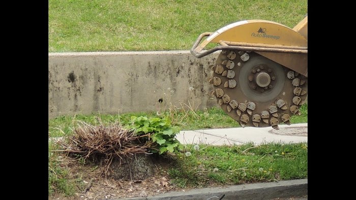  Profile Photos of Tree Removal Service Birmingham 1821 11th Ave S  # 55551 - Photo 7 of 11