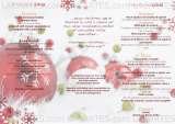 Menus & Prices, Posillipo Faversham, Faversham