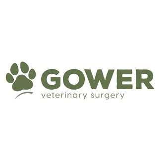  Profile Photos of Gower Veterinary Surgery 68-31 , Edgemoor Cl - Photo 1 of 1