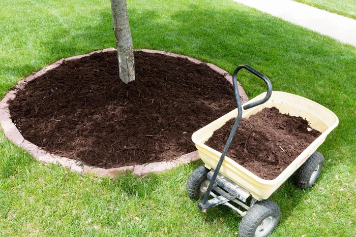  Profile Photos of Top Tree Service Seattle 1718 16th Ave - Photo 3 of 7