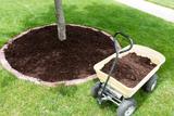 Top Tree Service Seattle 1718 16th Ave 