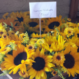 Grand Floral Events, Irvine