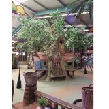 Kids Wonderland, Molenschot