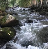 Route 19 Inn, Maggie Valley