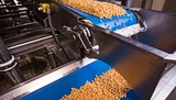 Valley Snack Foods, Stockton