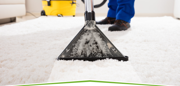  New Album of Las Vegas Carpet Cleaning Pros 112 Sam Jonas Dr - Photo 2 of 5