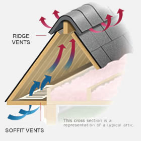  Profile Photos of Amerus Roofing & Restoration 7250 N Mesa C14 - Photo 7 of 19