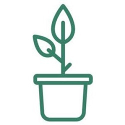  Profile Photos of Root Houseplants The Bluecoat, School Lane - Photo 1 of 1
