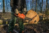 Joliet Tree Service Specialists, Joliet