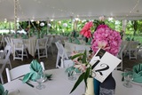  Parker's Perfect Weddings Cincinnati 