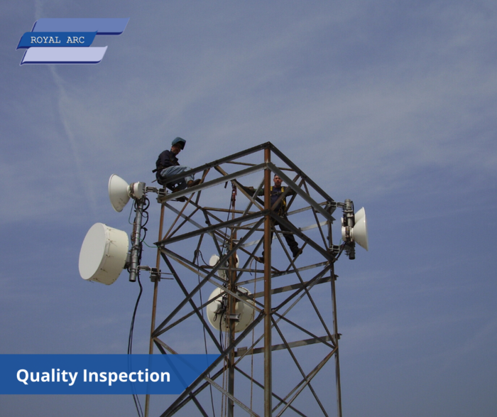 Quality Inspection New Album of Royal Arc 23851 Vreeland Road - Photo 5 of 6