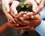 Sustainability Consulting Melbourne , NRG Efficient Homes, Point Cook