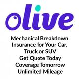 Olive, Walnut Creek