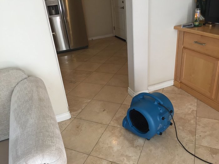  New Album of All Year Carpet Cleaning 8112 Brookgreen Rd - Photo 7 of 10